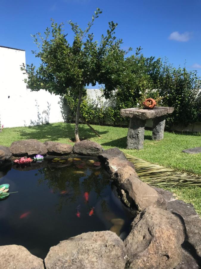 Charming Green Country House Nordestinho Eksteriør billede